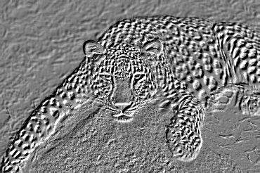 Image finale en relief