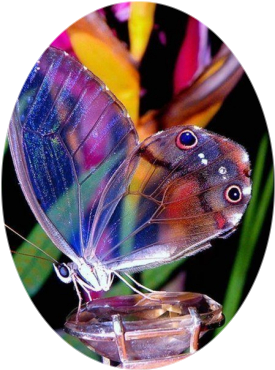 Créer une image ovale